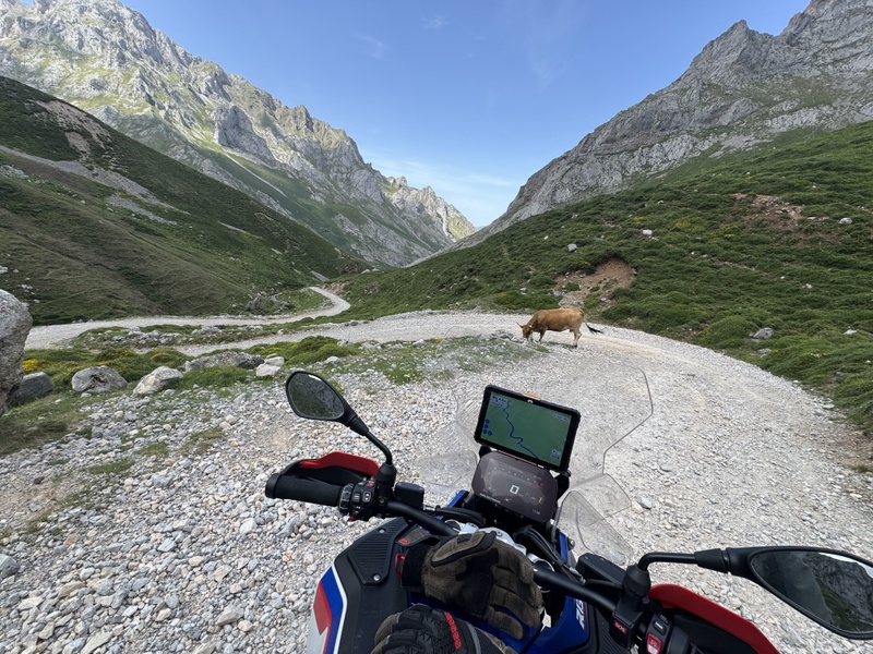 Afbeeldingslocatie: https://tweakers.net/i/Sx_uywuKNMnOdhqgz5-SBD-4DPI=/800x/filters:strip_icc():strip_exif()/f/image/Cwq9V3p4qbcKrG0J6Ul65aWp.jpg?f=fotoalbum_large