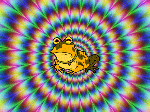 Afbeeldingslocatie: https://tweakers.net/i/SyOsUZdPvL0iKIzt7ad3x5MuFl4=/full-fit-in/4000x4000/filters:no_upscale():fill(white):gifsicle():strip_exif()/f/image/oAdBMoN1ClVX7hCxJBIWsRlD.gif?f=user_large