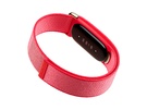 Google Fitbit Air-bandjes