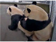 Ouwehands Dierenpark