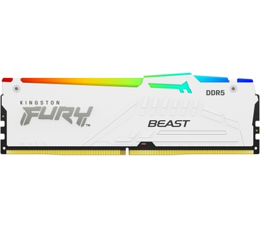 Kingston Fury Beast RGB KF552C36BWEAK2-32