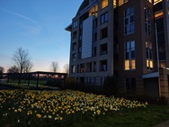 Cameratest Xiaomi 17 - Primair (nacht)