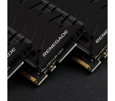 Kingston Renegade