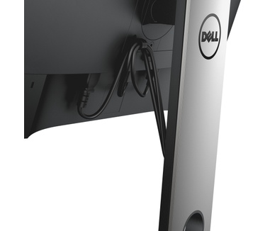 Dell DS1000