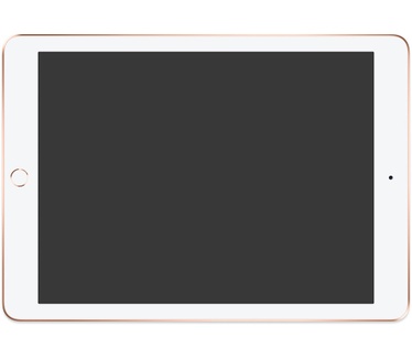 Apple iPad Wi-Fi + Cellular 32GB (2018) Goud