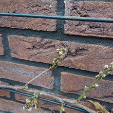 Afbeeldingslocatie: https://tweakers.net/i/TBl4zUNlpLcxnBnqiG3D9WDl3OU=/232x232/filters:strip_icc():strip_exif()/f/image/UlL2IsV4sLPNQp0kNnhKUCub.jpg?f=fotoalbum_tile