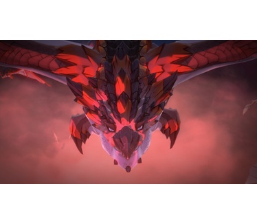 Monster Hunter Stories 2, Switch