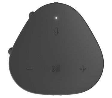 Sonos Roam Wit