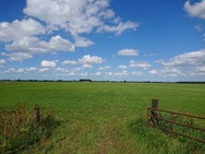 Praktijkfoto's