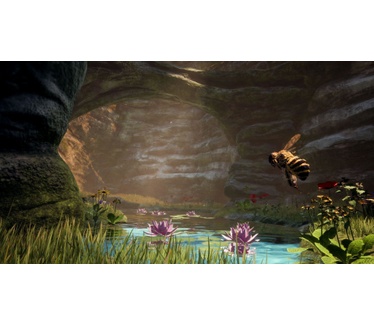 Bee Simulator, Switch