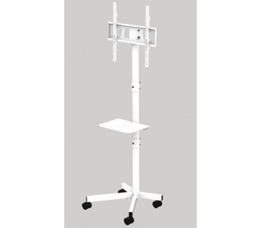 Gembird TVS-55T-03-W