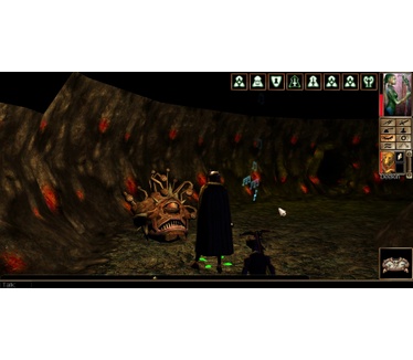 Neverwinter Nights - Enhanced Edition Collector's Pack, Switch