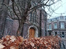 Carbon 1 MKII versus Galaxy S21