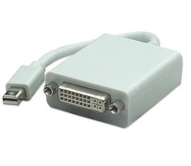 Techly Mini DisplayPort (Thunderbolt) to DVI Adapter IADAP MDP-DVIF Wit