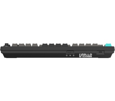 Helloganss HelloG HS75T Obs Gat Speed RGB WL US