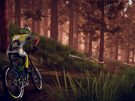 Descenders