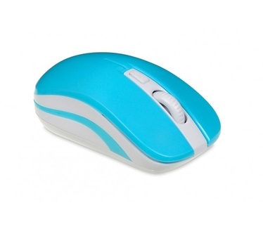 iBox LORIINI
