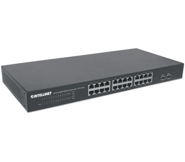 Intellinet 561044