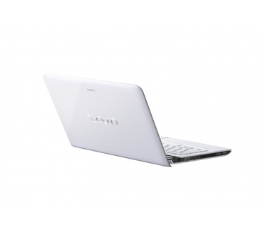 Sony Vaio SVE1113M1E