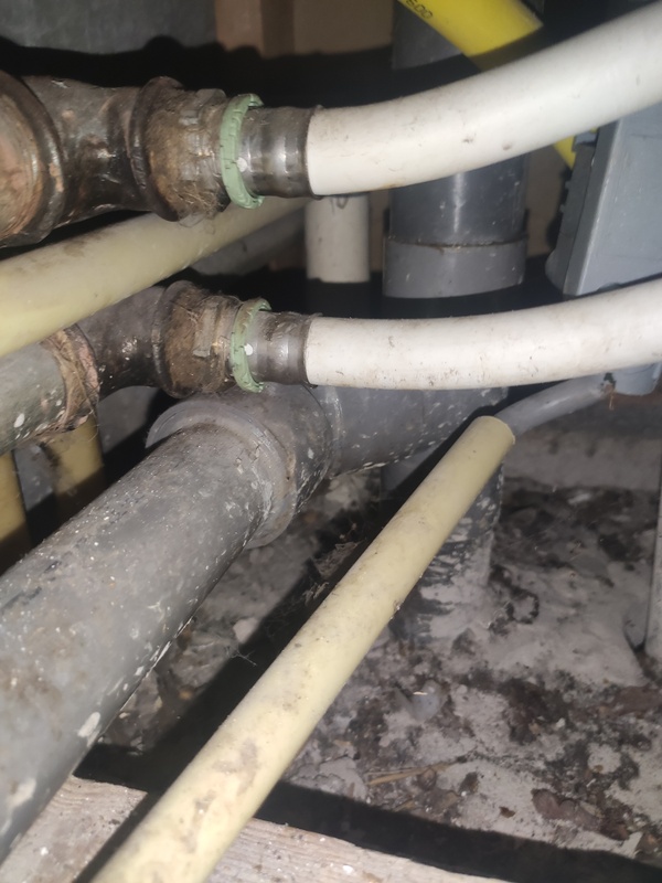 Afbeeldingslocatie: https://tweakers.net/i/TdhnQ_cLBtaN3tyhjj0lU_XLZ8I=/x800/filters:strip_icc():strip_exif()/f/image/59qPnj7oDYWRv067c1P1iQyt.jpg?f=fotoalbum_large