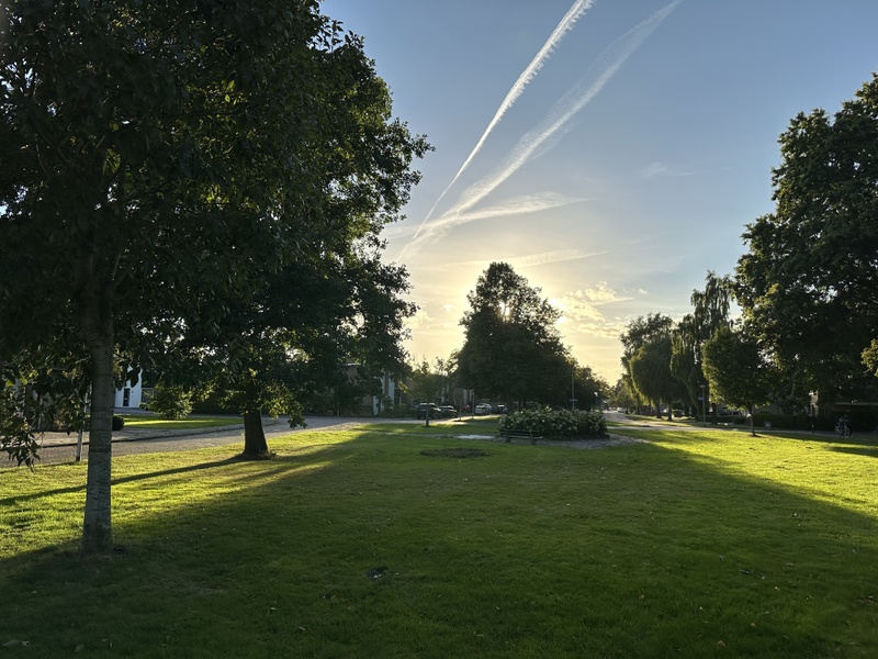 Afbeeldingslocatie: https://tweakers.net/i/TezdPbCEY01F_hoZR7SF3kjyHE8=/800x/filters:strip_icc():strip_exif()/f/image/M4D8Ar5JnkWvPhZTFTYVFrUv.jpg?f=fotoalbum_large