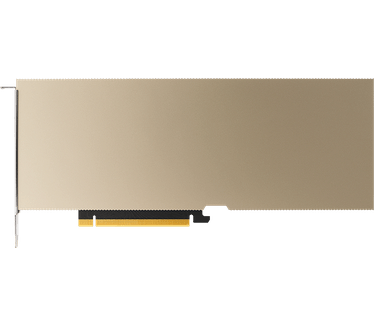 PNY Nvidia A10