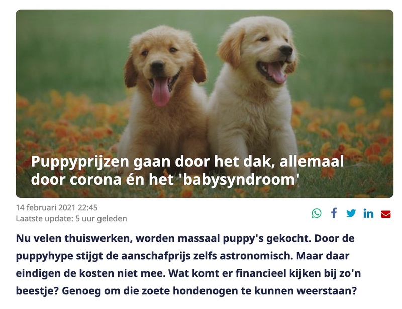 Afbeeldingslocatie: https://tweakers.net/i/TmAkDzuplFVRIkx3f391xhGDejA=/800x/filters:strip_icc():strip_exif()/f/image/5TTsqoip0aVwZpcBe0spP34D.jpg?f=fotoalbum_large