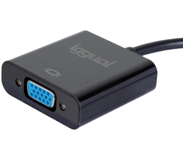 Iggual IGG319062