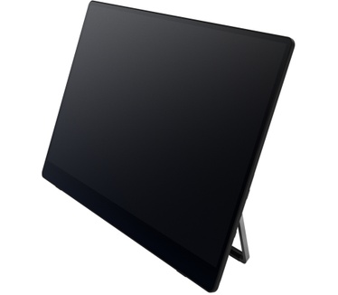 Ricoh Draagbare monitor 150