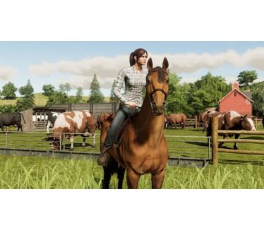 Farming Simulator 19: Premium Edition, PS4