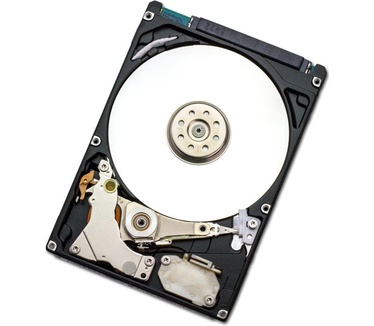 HGST J4K320 320GB