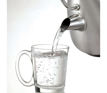 Morphy Richards Waterkoker Retro Accents RVS