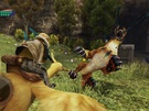 Final Fantasy Crystal Chronicles: The Crystal Bearers