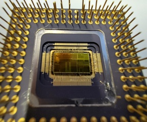 Fairphone Cameratest ultragroothoek camera macromodus