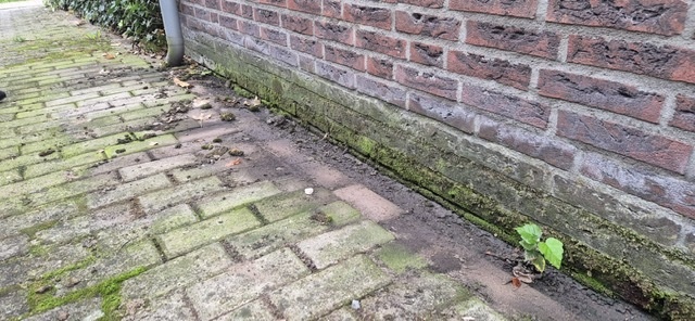 Afbeeldingslocatie: https://tweakers.net/i/U4Q-Tow6cCQU2d6TZVKj5bc1dxY=/fit-in/4920x3264/filters:max_bytes(3145728):no_upscale():strip_icc():strip_exif()/f/image/f7CPea5krGg4pcWmxYtia0Si.jpg?f=user_large