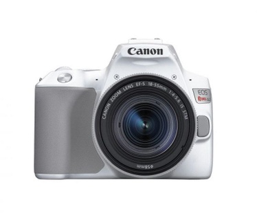 Canon EOS 250D + 18-55mm f/4-5.6 Wit