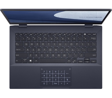 ASUS B5302FEA-LG1166X