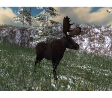 North American Hunting Extravaganza