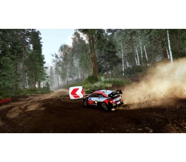 WRC 10