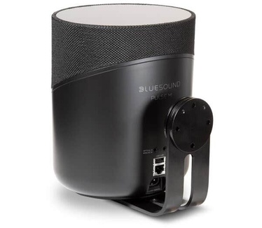 Bluesound PULSE M