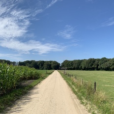 Afbeeldingslocatie: https://tweakers.net/i/UA71kLaPyJeEabIcDgg-bT-5qzk=/232x232/filters:strip_icc():strip_exif()/f/image/E8YMYRs5HrLtNw3TrVTOUHCz.jpg?f=fotoalbum_tile