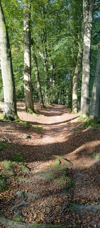 Afbeeldingslocatie: https://tweakers.net/i/UBxjigpdGihz8RvM4WER_hL95lU=/x800/filters:strip_icc():strip_exif()/f/image/YTXFJrxCjQ15w7lCOoXYQti3.jpg?f=fotoalbum_large