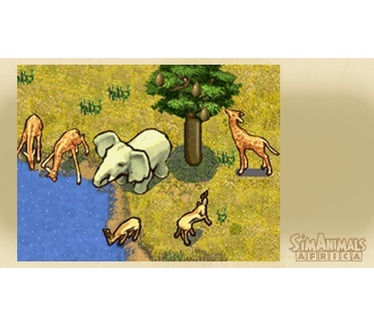 SimAnimals - Africa, Nintendo DS