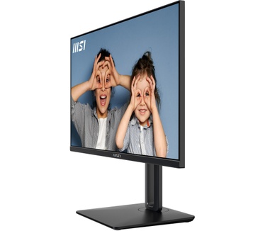 MSI PRO MP251P