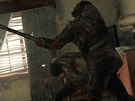 The Last of Us