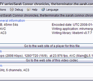 MediaInfo 0.7.6.2 screenshot (410 pix)