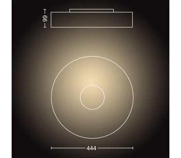 Philips Fair plafondlamp
