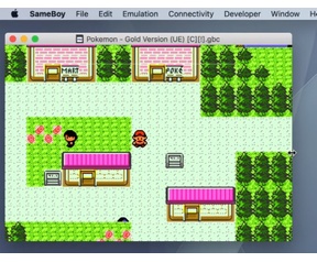WideGB emulator