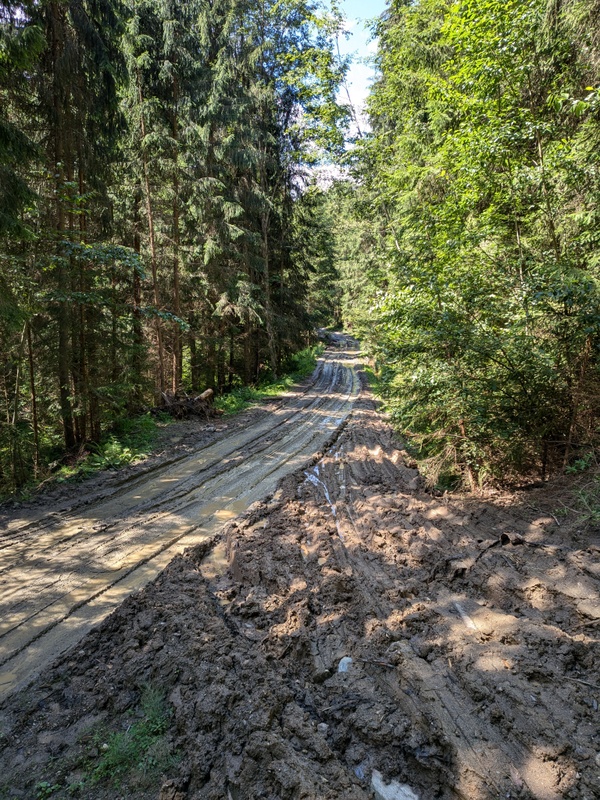 Afbeeldingslocatie: https://tweakers.net/i/UJw4mIM_iq1VQQumvCpgDjmwRaQ=/x800/filters:strip_icc():strip_exif()/f/image/lROaH80tiLjrMp7DULSgPGZs.jpg?f=fotoalbum_large