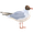 avatar van fabvoer